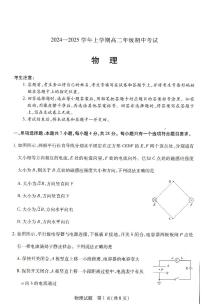 河南省濮阳市2024-2025学年高二上学期期中考试物理试卷