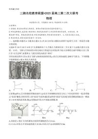 2024～2025学年湖南省三湘名校教育联盟高三(上)11月月考(第二次大联考)物理试卷(含解析)