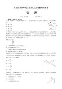 2024～2025学年甘肃省兰州市西北师范大学附属中学高二(上)11月月考物理试卷(含解析)