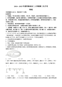 河南省驻马店市部分高中联考2024-2025学年高二上学期期中物理试题