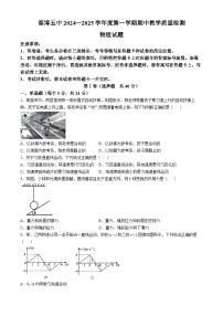 山东省淄博第五中学2024-2025学年高一上学期期中考试物理试卷