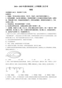 河南省驻马店市部分高中联考2024～2025学年高二(上)期中物理试卷(含解析)