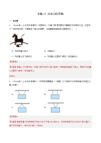 专题11 共点力的平衡（解释版）-备战2024-2025学年高一物理上学期期中真题分类汇编（北京专用）