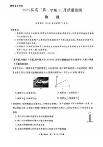 2025届河南部分示范性高中高三上学期11月联考物理试题+答案