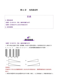 第61讲   光的波动性（练习）（解析版）-2025年高考物理一轮复习讲练测（新教材新高考）