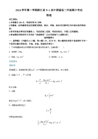 浙江省91高中联盟2024-2025学年高二上学期11月期中考试物理试卷（Word版附解析）