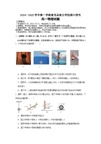 河北省秦皇岛市青龙满族自治县部分学校2024-2025学年高一上学期11月期中联考物理试题