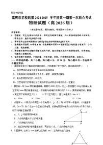 重庆市名校联盟2024-2025学年高二上学期11月期中考试物理试题（Word版附答案）