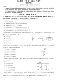 云南省文山壮族苗族自治州文山市第一中学2024～2025学年高一(上)11月月考物理试卷(含解析)
