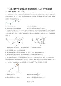 2024～2025学年湖南省岳阳市临湘市高三(上)期中物理试卷(含答案)