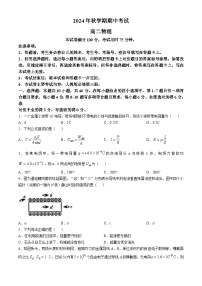 广西壮族自治区部分学校2024-2025学年高二上学期11月期中考试物理