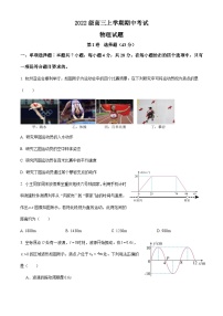 四川省眉山市仁寿第一中学校南校区2024-2025学年高三上学期11月期中物理试题