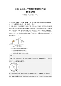 四川省眉山市东坡区2024-2025学年高二上学期11月期中校校联合考试物理试题