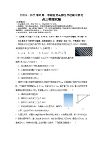 河北省秦皇岛市青龙满族自治县青龙部分学校2024-2025学年高三上学期11月期中联考物理试题