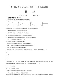 甘肃省兰州市西北师范大学附属中学2024-2025学年高一上学期11月月考物理试题