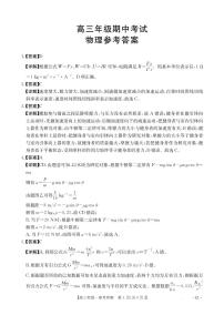 河北省保定市十县一中高中2024-2025学年高三上学期11月期中物理试题