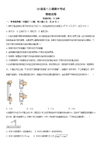 四川省仁寿第一中学校南校区2024-2025学年高二上学期11月期中物理试题