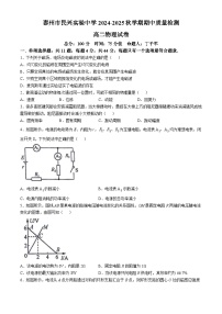 江苏省泰州市民兴实验中学2024-2025学年高二上学期期中考试物理试题(无答案)