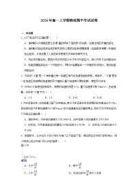 湖南省岳阳市云溪区2024-2025学年高一上学期11月期中物理试题