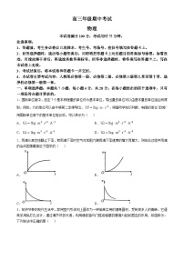 河北省保定市十县一中高中2024-2025学年高三上学期11月期中物理试题