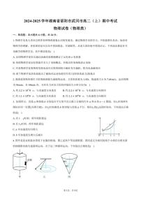 2024～2025学年湖南省邵阳市武冈市高二(上)期中物理试卷(物理类)(含答案)