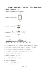 2024～2025学年湖南省天一大联考高二(上)期中物理试卷(含答案)