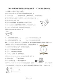 2024～2025学年湖南省岳阳市临湘市高二(上)期中物理试卷(含答案)