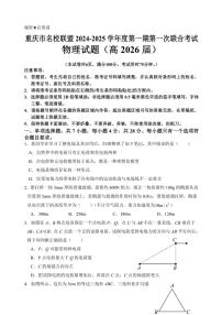 重庆市名校联盟2024～2025学年高二(上)期中物理试卷(含答案)