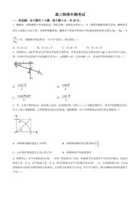 四川省成都列五中学2024～2025学年高三(上)期中物理试卷(含答案)