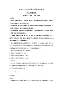 2024-2025学年湖北省新高考协作体高三(上)11月期中物理试卷（解析版）