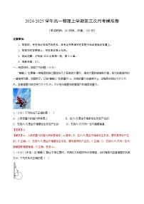 高一物理第三次月考卷（上海专用，沪科版2020必修第一册第3~4章）2024+2025学年高中上学期第三次月考.zip