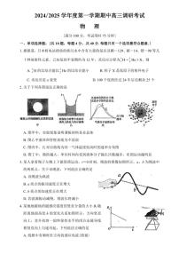 江苏省南京市金陵中学2024～2025学年高三(上)期中调研考试物理试卷(含答案)