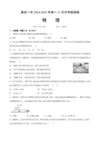 甘肃省天水市秦安县第一中学2024～2025学年高一(上)11月月考物理试卷(含答案)