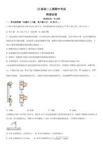 四川省仁寿第一中学校南校区2024～2025学年高二(上)期中物理试卷(含答案)