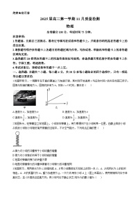 河南省部分示范性高中2024-2025学年高三上学期11月联考物理试题（含解析）