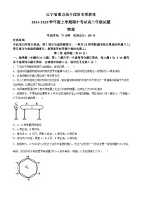 辽宁省重点高中沈阳市郊联体2024-2025学年高二上学期11月期中考试物理试卷（Word版附解析）