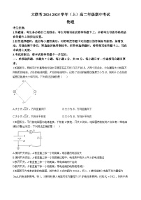 河南省部分学校大联考2024-2025学年高二上学期11月期中考试物理试卷（Word版附答案）