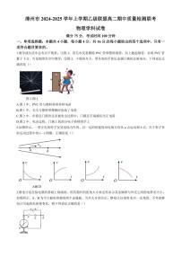 福建省漳州市乙级校联盟2024～2025学年高二(上)期中物理试卷(含答案)