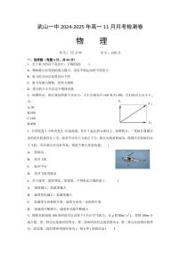 甘肃省天水市武山县第一高级中学2024～2025学年高一(上)11月月考物理试卷(含答案)