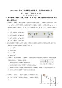 福建省泉州市四校2024～2025学年高二(上)期中联考物理试卷(含答案)