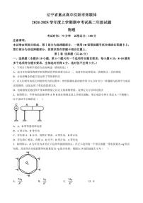 辽宁省重点高中沈阳市郊联体2024～2025学年高二(上)期中物理试卷(含解析)