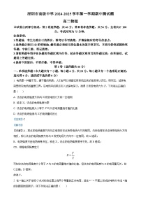 广东省深圳市高级中学（集团）2024-2025学年高二上学期期中测试物理试卷（解析版）-A4