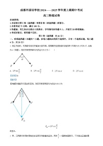 四川省成都市成都外国语学校2024-2025学年高三上学期11月期中物理试题（解析版）-A4