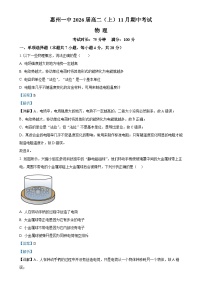 广东省惠州市第一中学2024-2025学年高二上学期11月期中物理试题（解析版）-A4