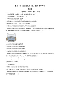 广东省惠州市第一中学2024-2025学年高二上学期11月期中物理试题（原卷版）-A4