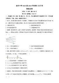 四川省绵阳市盐亭中学2024-2025学年高二上学期11月期中物理试题（原卷版）-A4