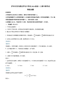 四川省泸州市泸化中学2024-2025学年高一上学期11月期中物理试题（Word版附解析）