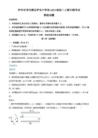 四川省泸州市泸化中学2024-2025学年高二上学期11月期中考试物理试题（Word版附解析）