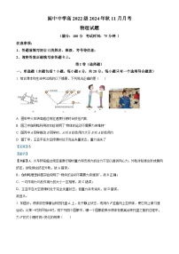 四川省阆中中学2024-2025学年高三上学期11月月考物理试题（Word版附解析）