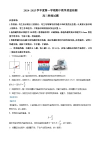 山东省聊城市2024-2025学年高二上学期11月期中考试物理试卷（Word版附解析）